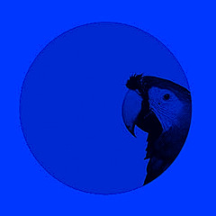 Some Warming BassTech Cuts (selected by bassline k)