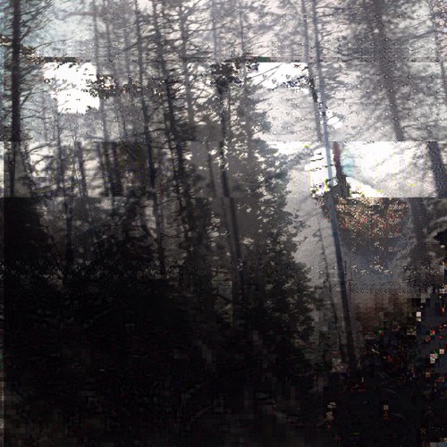 anicon-i-wander-in-drought