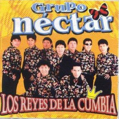 Si Volvieras A Mi Lado GRUPO NECTAR