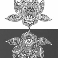 BC & Patricia Araujo - Lotus (preview)