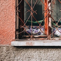 Outside Our Windows