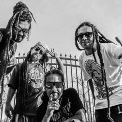 Digital Dread & Boomer- (Control)