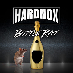 Bottle Rat