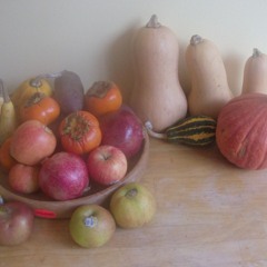 If its wrong why does it feel so right