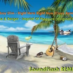 Fatboy Slim - Right Here Right Now VS Tube & Berger - Imprint Of Pleasure(SOUNDFLASH REMIX)