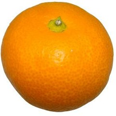 中華一番のテーマ -iquraparis remix-