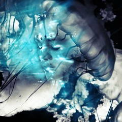 With The Fishes (Original Mix)