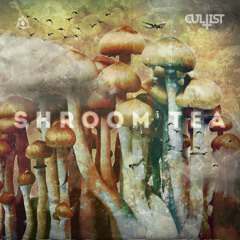 Shroom Tea