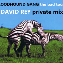 -FREE DOWNLOAD- BLOODHOUND GANG - THE BAD TOUCH (DAVID REY PRIVATE)