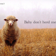 Baby Don't Herd Me