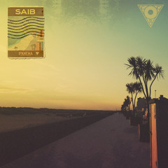 Saib. -  06 Act Right
