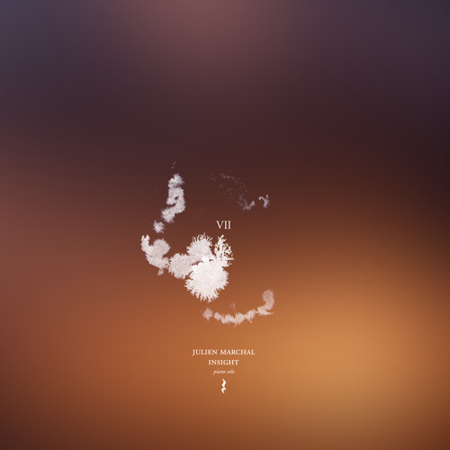 INSIGHT - VII