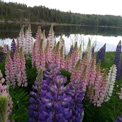 Klassisk piano Sanna Lundborg