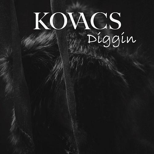 Kovacs - Diggin에 대한 이미지 검색결과