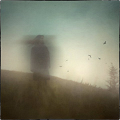 Periculosum Illusio [© Maxim Carpets, Toronto, ON, Canada, 2015]