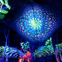 Live Clip[Akuna Project]