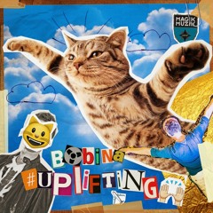 Bobina - Flying Kitten