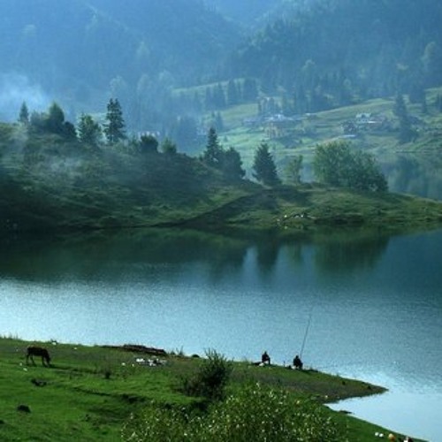 Hazy childhood forest daze