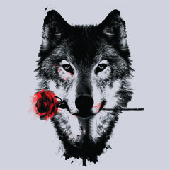 Dylan Tallchief - Wolfy [Teaser]