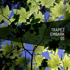 Paride Saraceni & Stiv Hey - Downtown (Trapez Dig 05)
