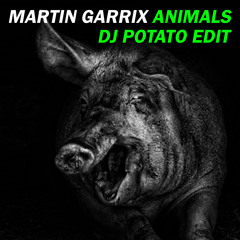 Martin Garrix - Animals (DJ Potato Edit)