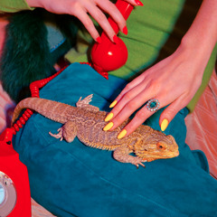 Kofi Birthday Playlist