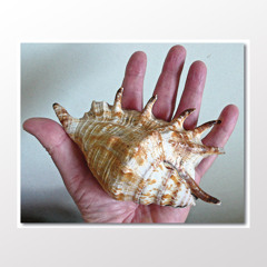 The making of poetry and music