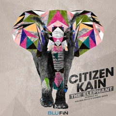 Citizen Kain - Elephant (Cosmic Boys Remix) Blufin