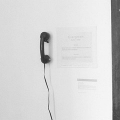 evergreen (sample copy), 2007