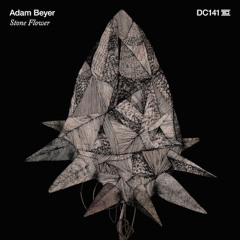 Adam Beyer - The Crossing
