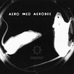 Engineeer - Aero Med. Aerobee