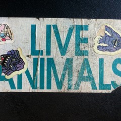 Wherever Whenever Instrumental