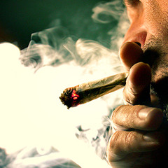 \" SIN PALABRAS \" -B-RASTER-