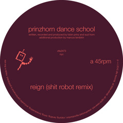 Prinzhorn Dance School - Reign (Shit Robot Remix)[Sample]