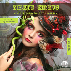 naturtalente - Polarlicht