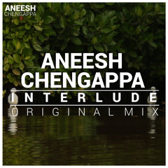 Aneesh Chengappa - Interlude
