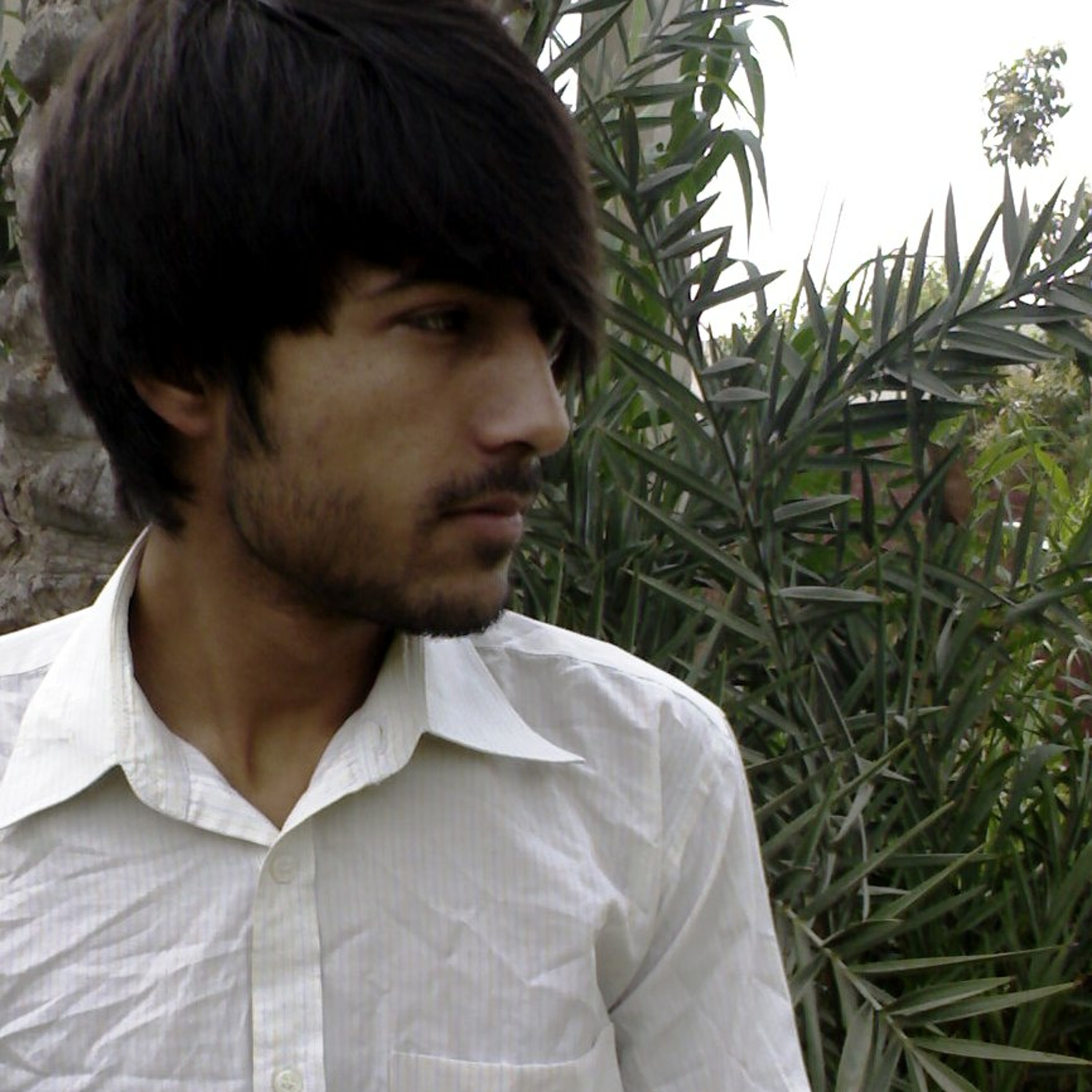 Sheharyarteetu