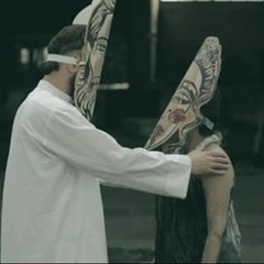 Shahin Najafi Aureliano