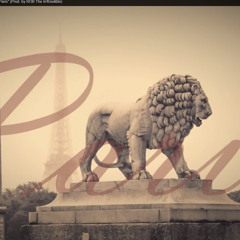 Drake (Feat. PartyNextDoor & The Weeknd) type beat - One Night In Paris (Prod. by RTI)