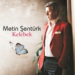 Metin Şentürk Sensizlik Kalbe Zararlı