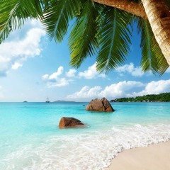 VA - Ordinary Muzik 4 (Mixed By Dvid)