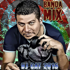 Banda Exitos Mix Mayo 2015 Dj Cat Remixer