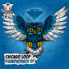Chicago Loop - Silverback - Low Res Preview - Out Now On Renesanz