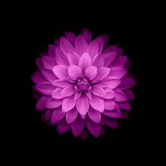 Funk It Up - Royals (Lorde Cover)