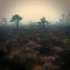 Within A Dream Instrumental *Free Download*