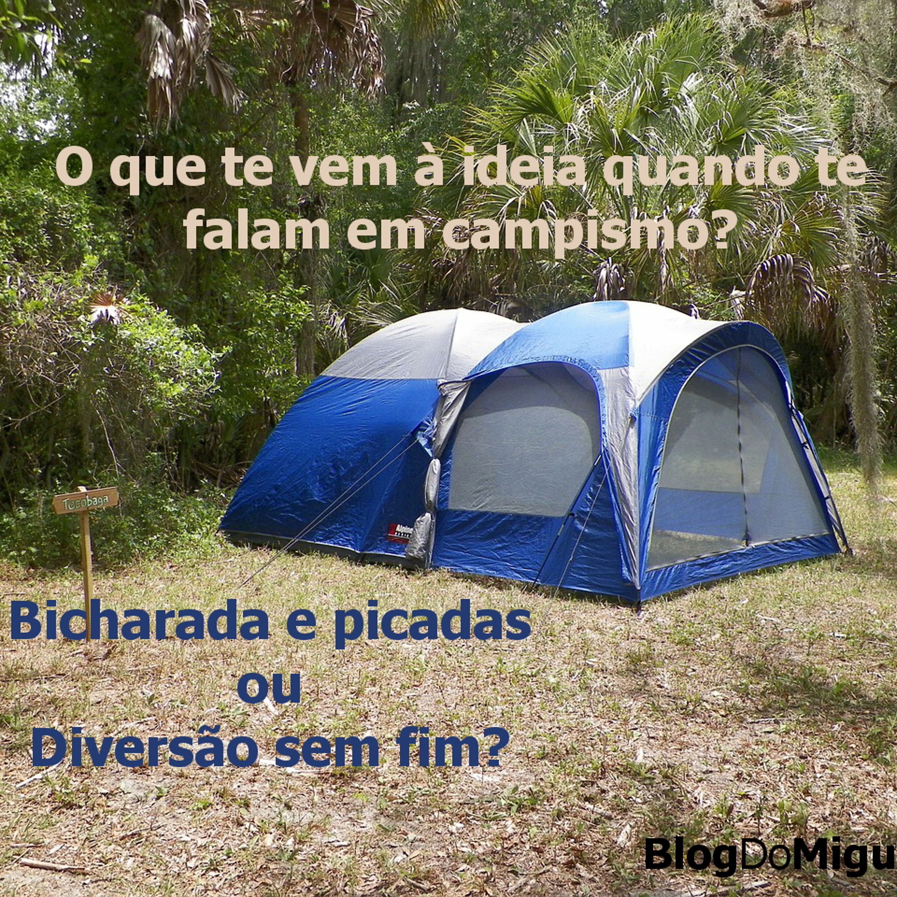 MiguelBorges