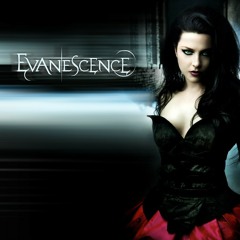 Evanescence - Taking Over Me