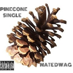 Pinecone