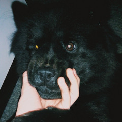 Traumatic (Heart Of The Party)