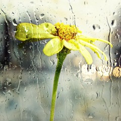 MAKE IT HOME. by Dunx.